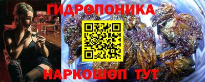 apvp Сланцы